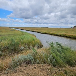 nordsee rundreise 2023_49